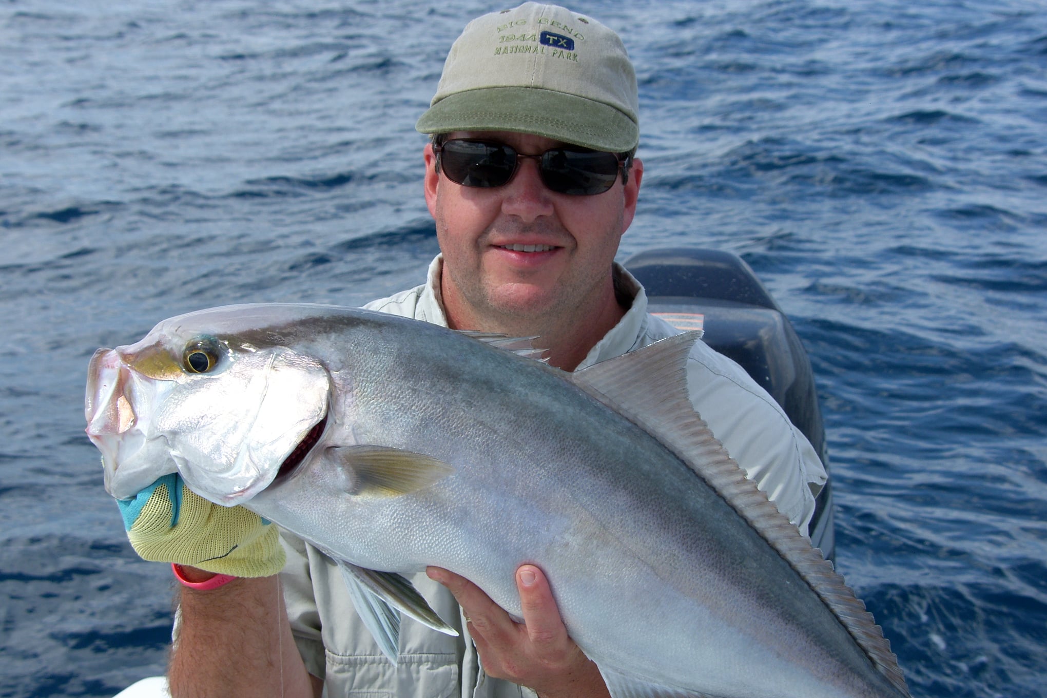 Small Amberjack