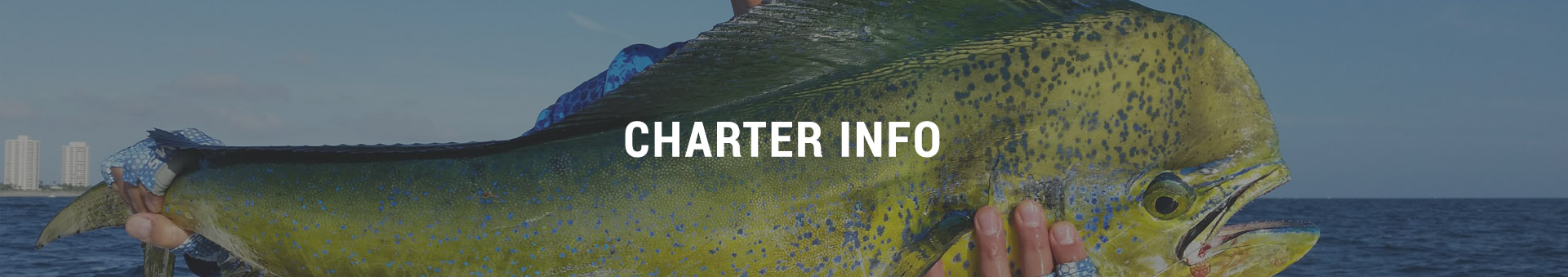 Charter Info
