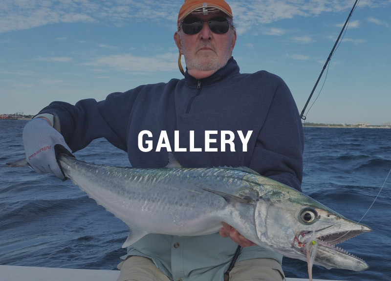Fly Fishing gallery